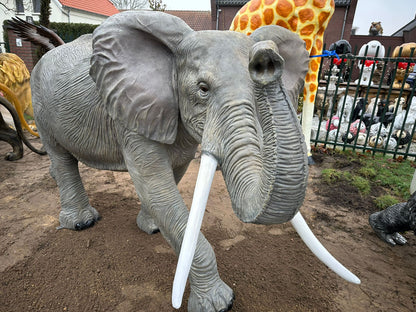 Olifant - Grote Olifant - 360cm lang - levensecht - originele kleur
