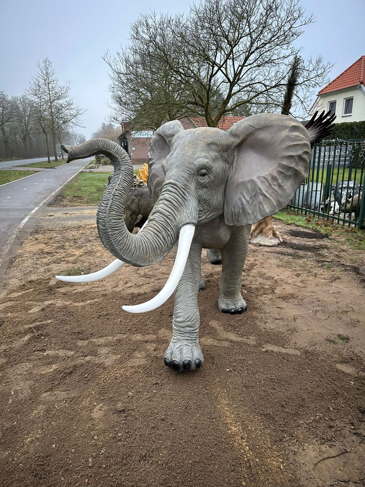 Olifant - Grote Olifant - 360cm lang - levensecht - originele kleur