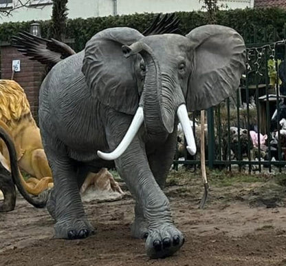 Olifant - Grote Olifant - 360cm lang - levensecht - originele kleur