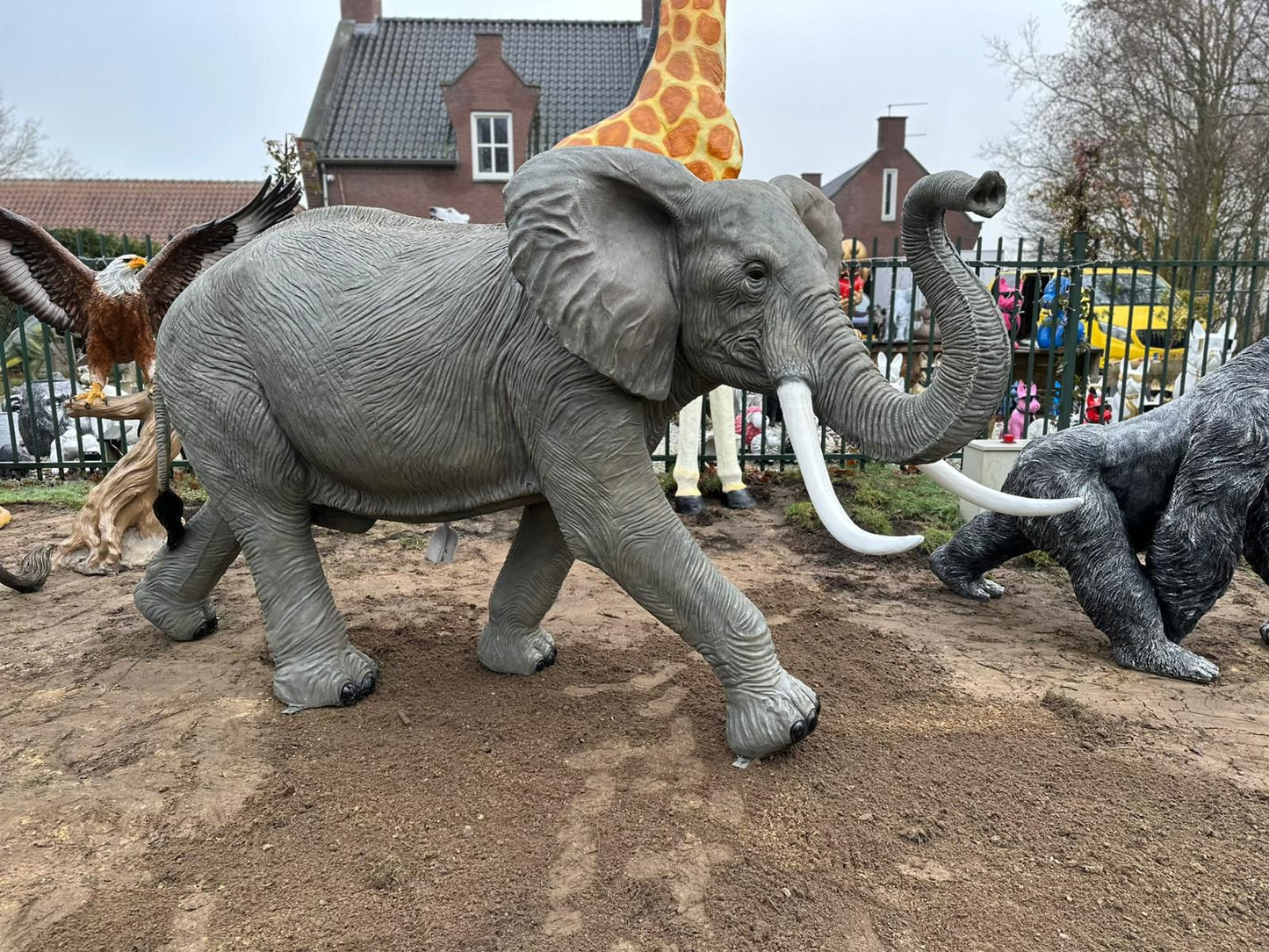 Olifant - Grote Olifant - 360cm lang - levensecht - originele kleur