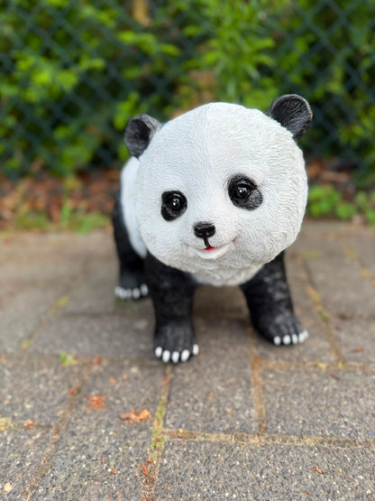 Super leuke Panda beren in verschillende modellen (formaat M)