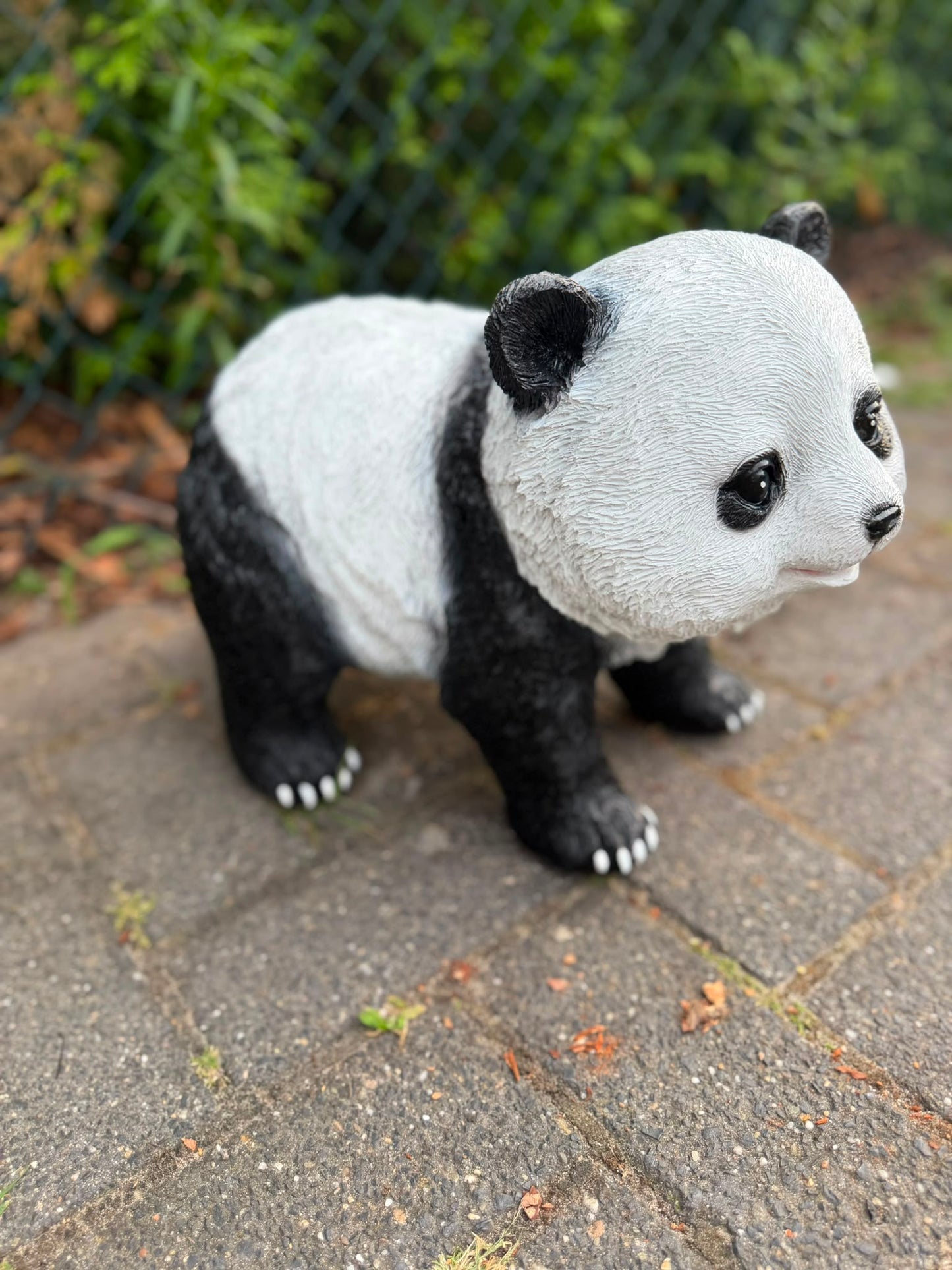 Super leuke Panda beren in verschillende modellen (formaat M)