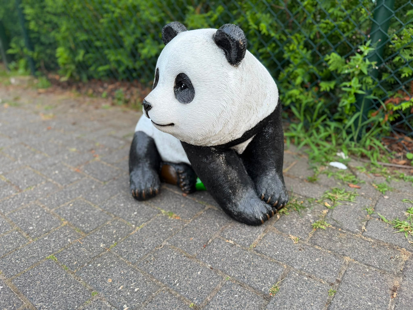 Super leuke Panda beren in verschillende modellen (formaat L)