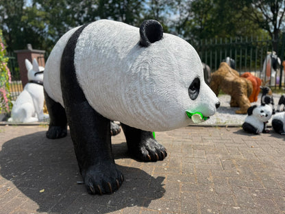Staande reuze Panda (250cm lang en 130cm hoog)