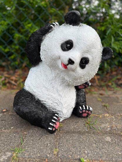 Super leuke Panda beren in verschillende modellen (formaat M)