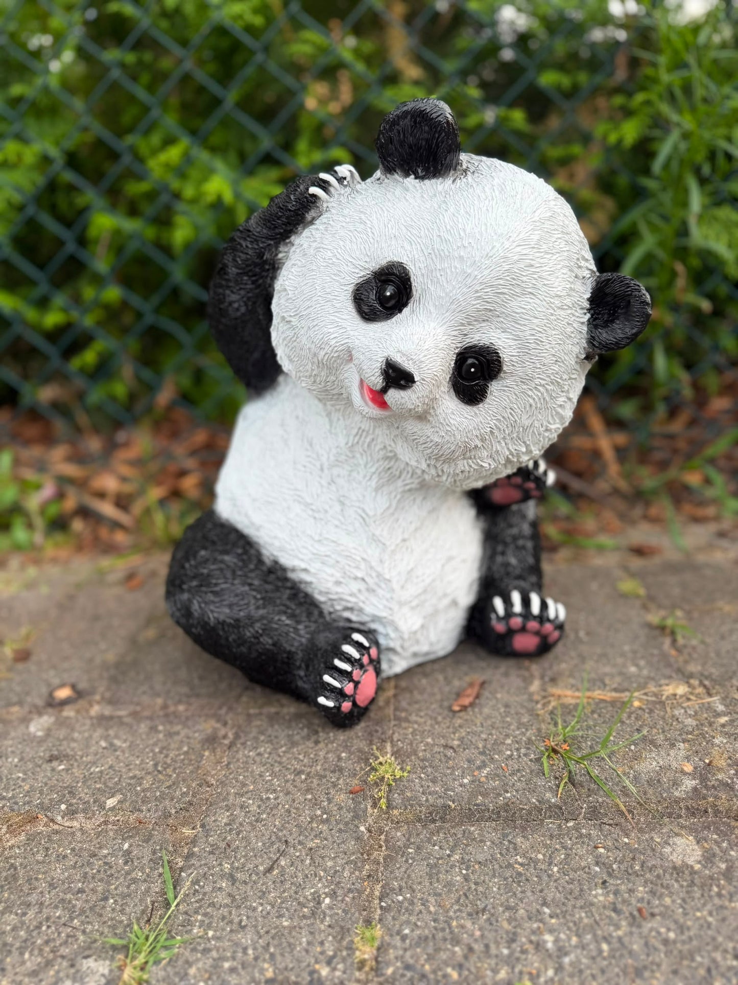 Super leuke Panda beren in verschillende modellen (formaat M)