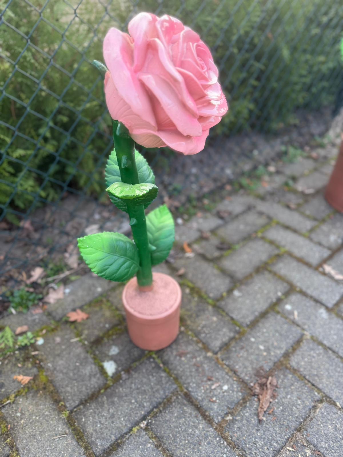 Bloemen - Roos - Rozen - 60cm hoog - diversen kleuren