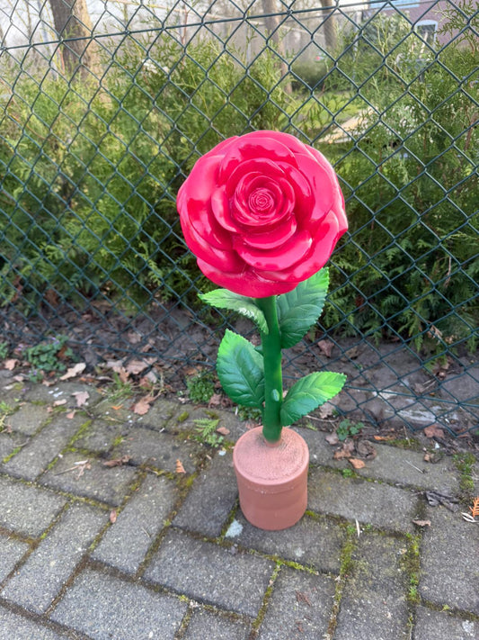 Bloemen - Roos - Rozen - 60cm hoog - diversen kleuren