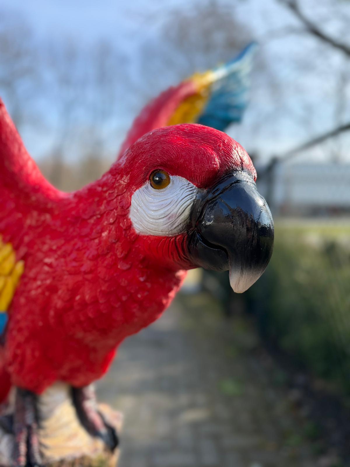 Papegaai -  Papegaaien - op boomstam - 160cm hoog - verschillende kleuren