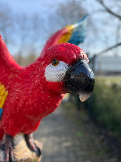 Papegaai -  Papegaaien - op boomstam - 160cm hoog - verschillende kleuren