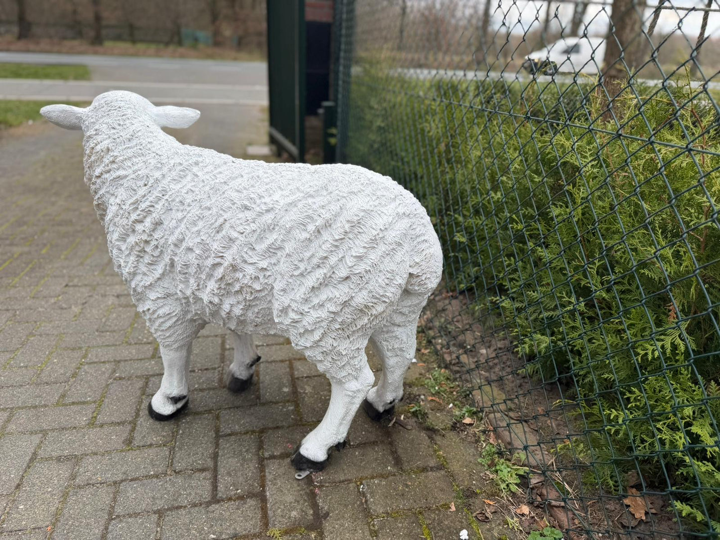Schapen- Schaap - Wit schaap - Staand - XXL