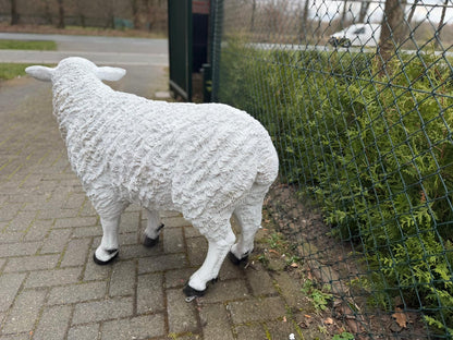 Schapen- Schaap - Wit schaap - Staand - XXL