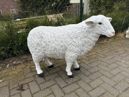 Schapen- Schaap - Wit schaap - Staand - XXL