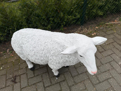 Schapen- Schaap - Wit schaap - Staand - XXL