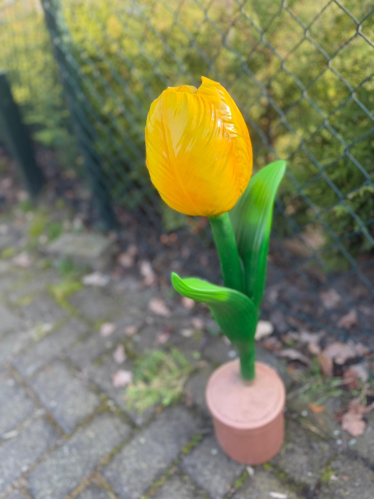 Bloemen - Tulp - Tulpen - 110cm hoog - diversen kleuren