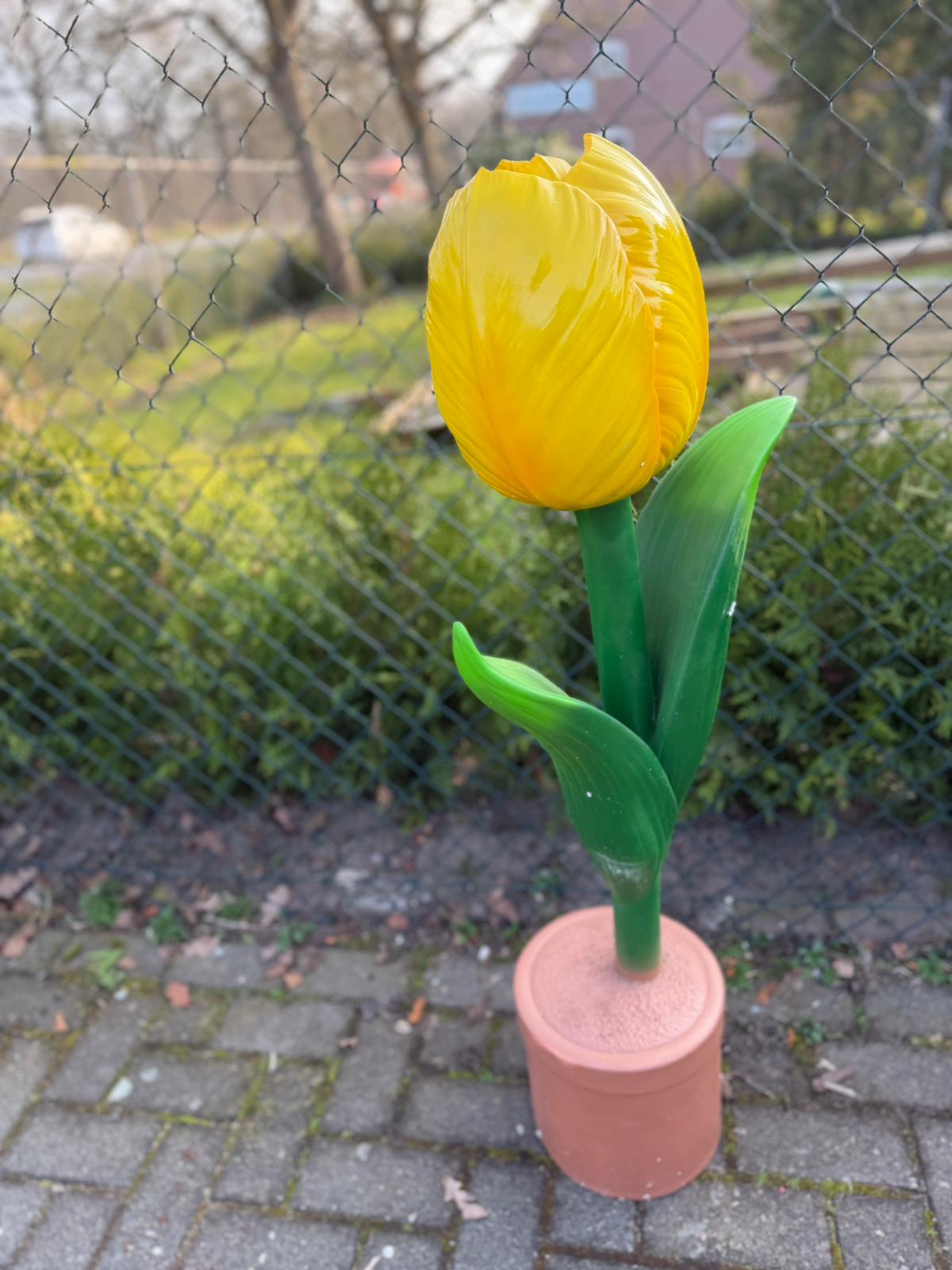 Bloemen - Tulp - Tulpen - 60cm hoog - diversen kleuren