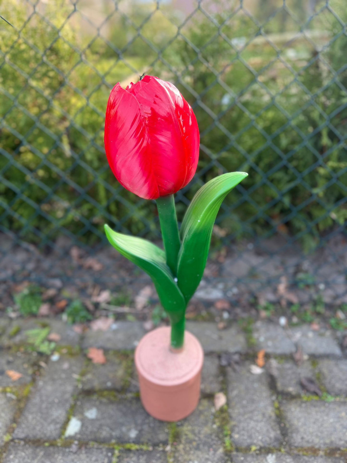 Bloemen - Tulp - Tulpen - 110cm hoog - diversen kleuren