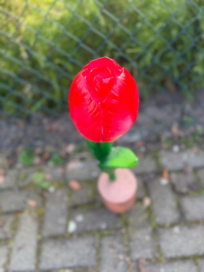 Bloemen - Tulp - Tulpen - 60cm hoog - diversen kleuren