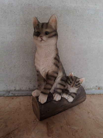 Katten - Poes - Poezen - verschillende modellen