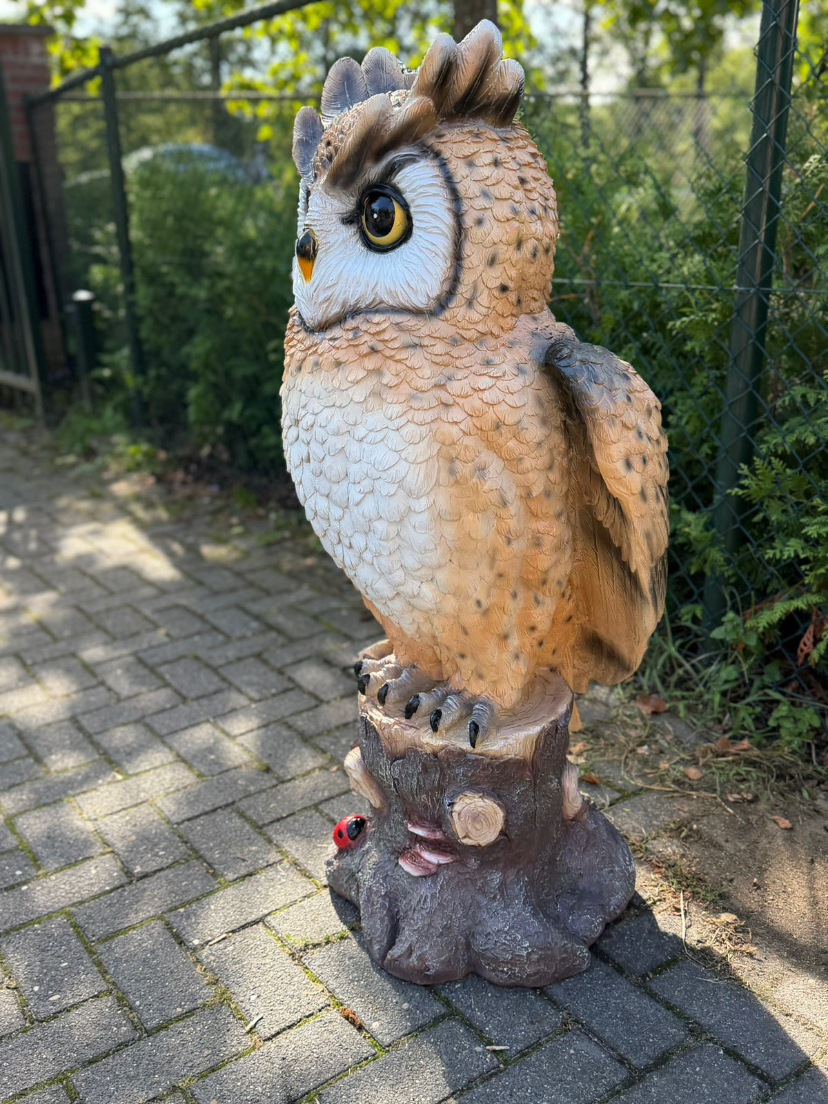 Mooie staande Uil op stam (120cm hoog)