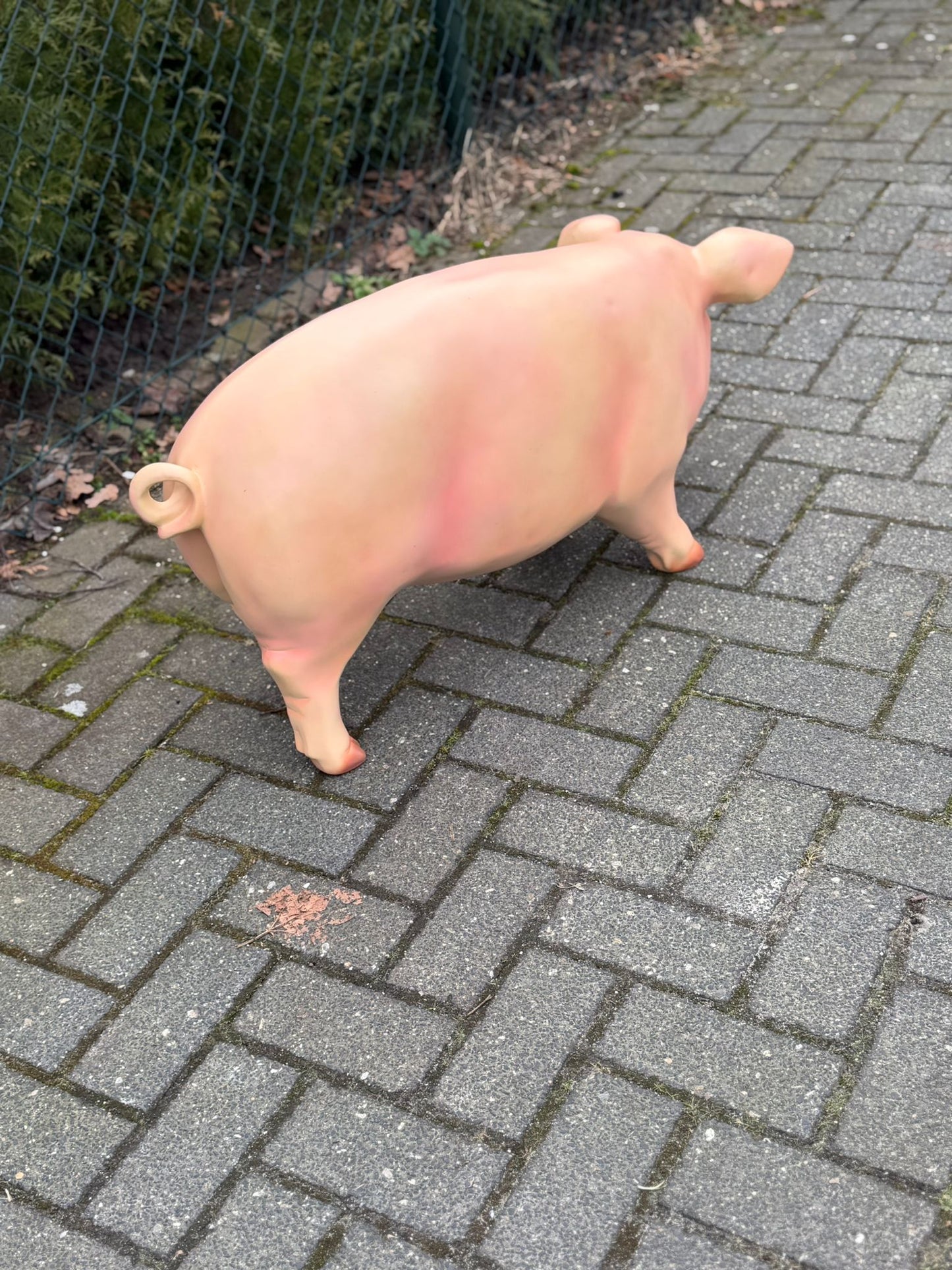 Varken - varkens - staand - 90cm lang