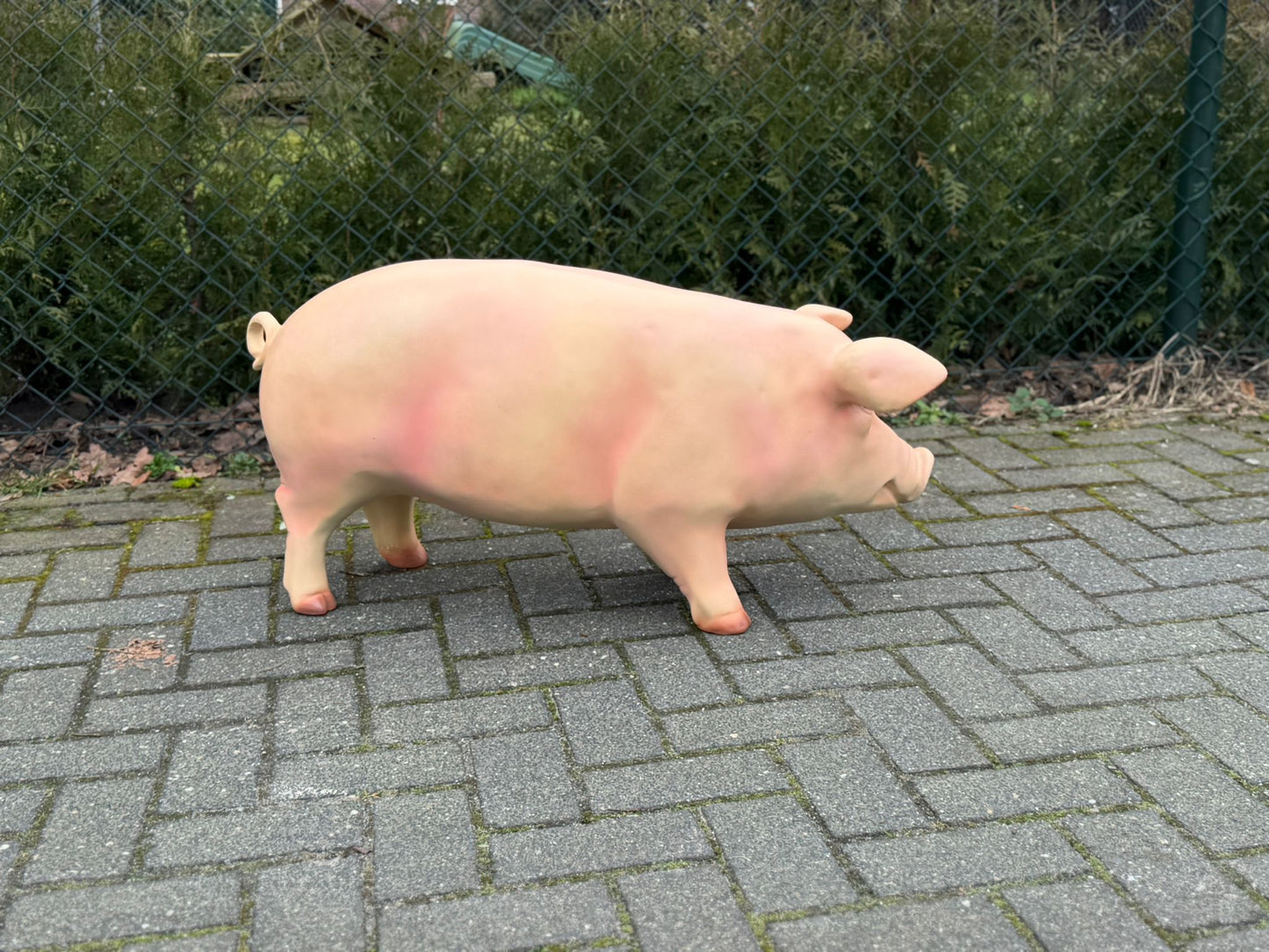 Varken - varkens - staand - 90cm lang