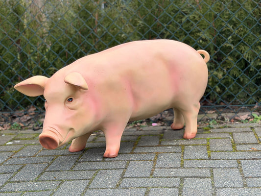 Varken - varkens - staand - 90cm lang