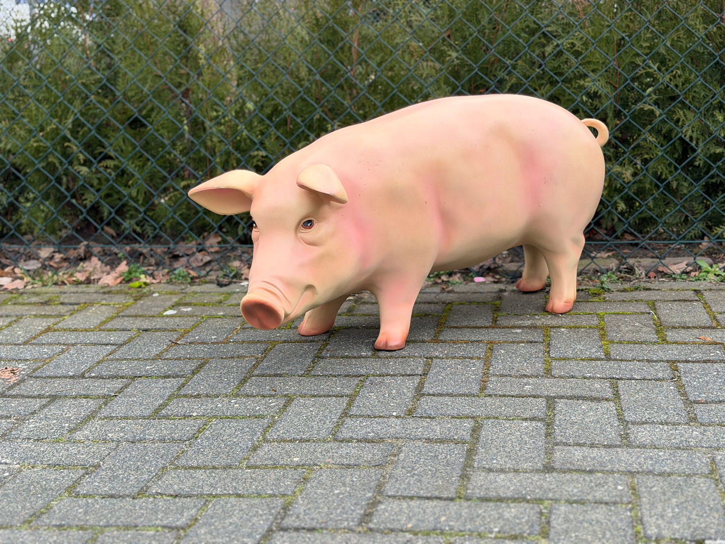 Varken - varkens - staand - 90cm lang