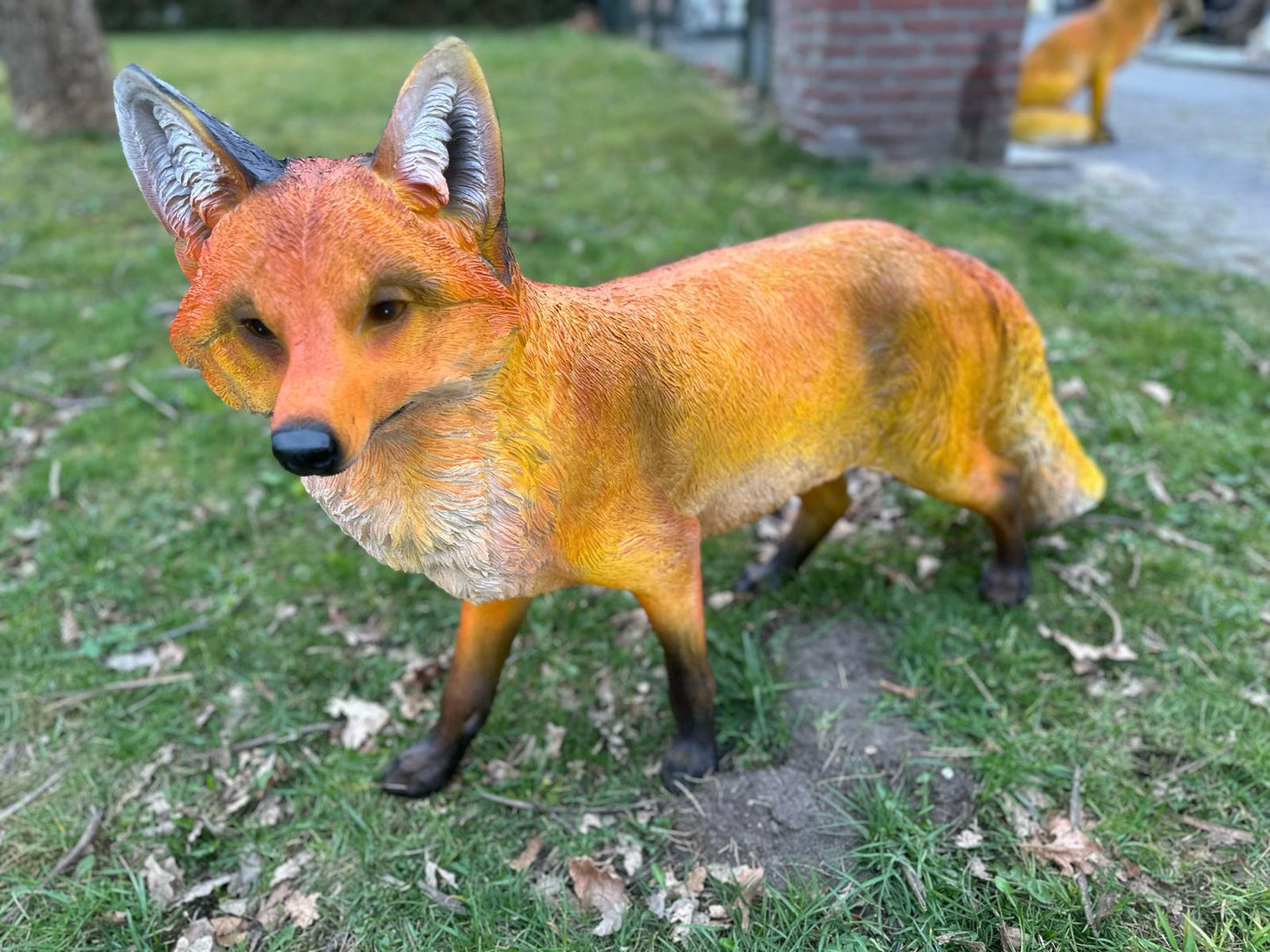 Vos.  zeer mooi vossen beeld (staand of zittend)