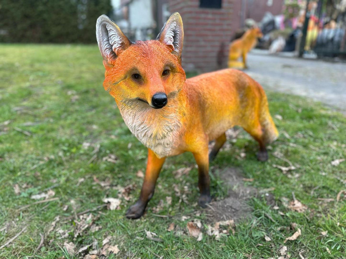 Vos.  zeer mooi vossen beeld (staand of zittend)