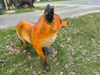 Vos.  zeer mooi vossen beeld (staand of zittend)