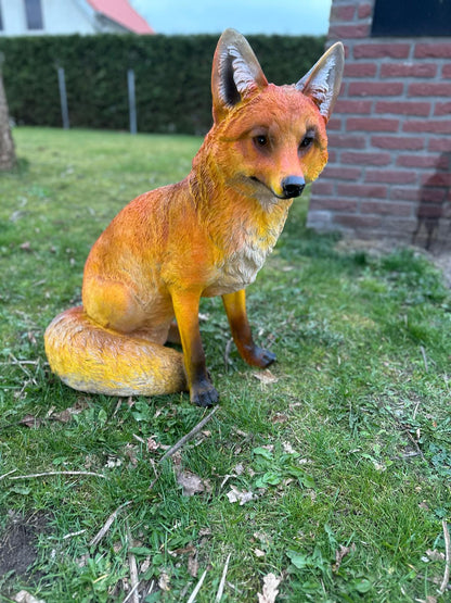 Vos.  zeer mooi vossen beeld (staand of zittend)