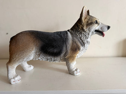 Corgi - Welsh corgi - 50cm lang - super mooi !!