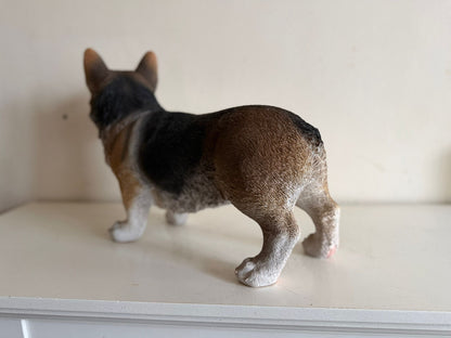 Corgi - Welsh corgi - 50cm lang - super mooi !!