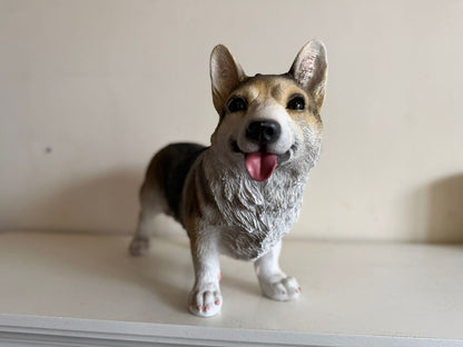 Corgi - Welsh corgi - 50cm lang - super mooi !!