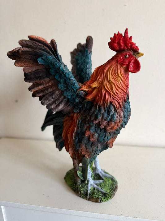 Haan - Kip - Staande Haan - Vleugels wijd