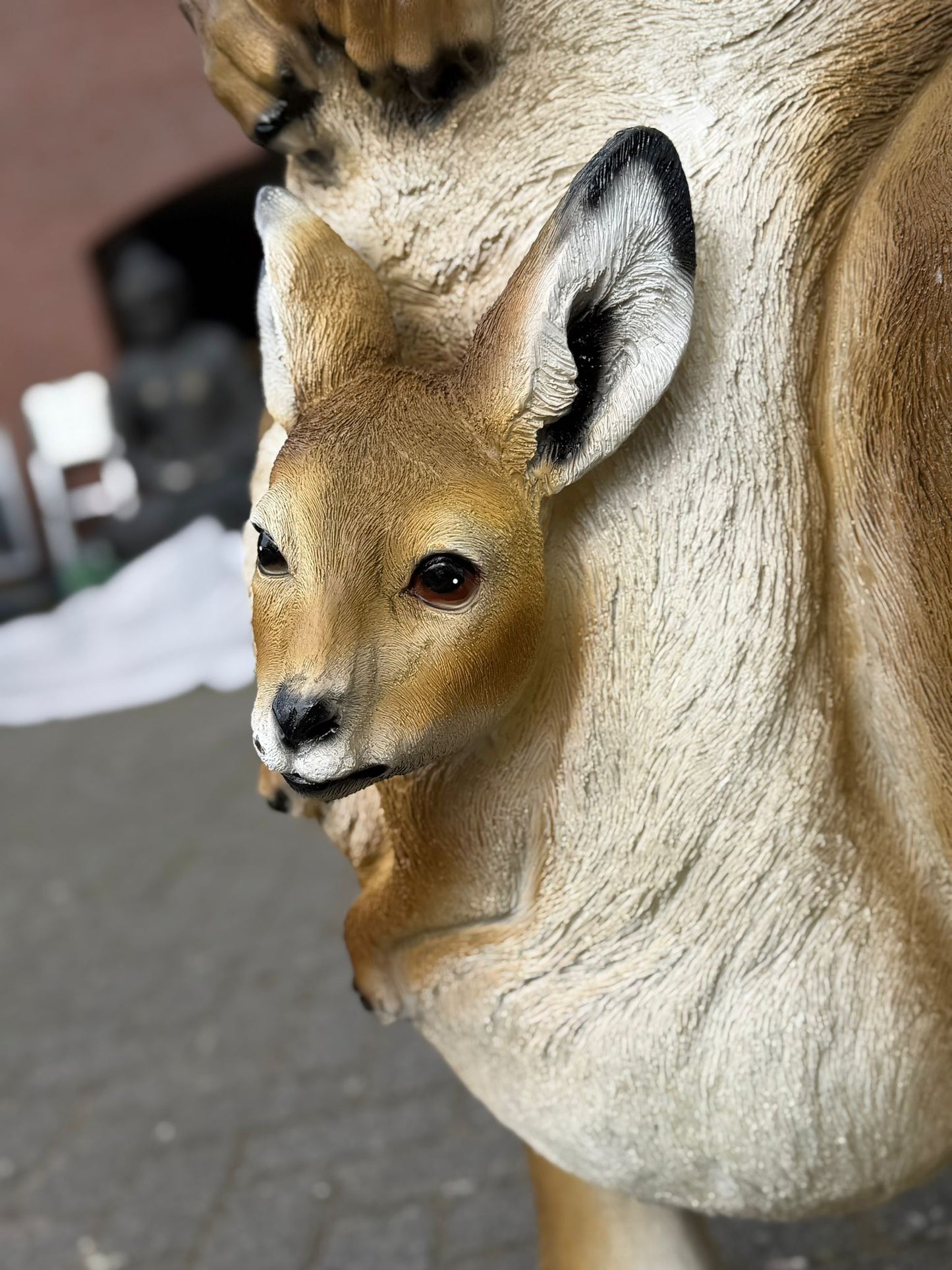 Kangaroe - Kangoeroes - met baby - originele kleur - 155 cm hoog