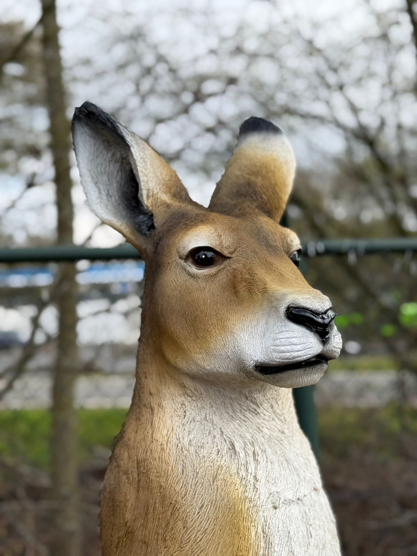 Kangaroe - Kangoeroes - met baby - originele kleur - 155 cm hoog