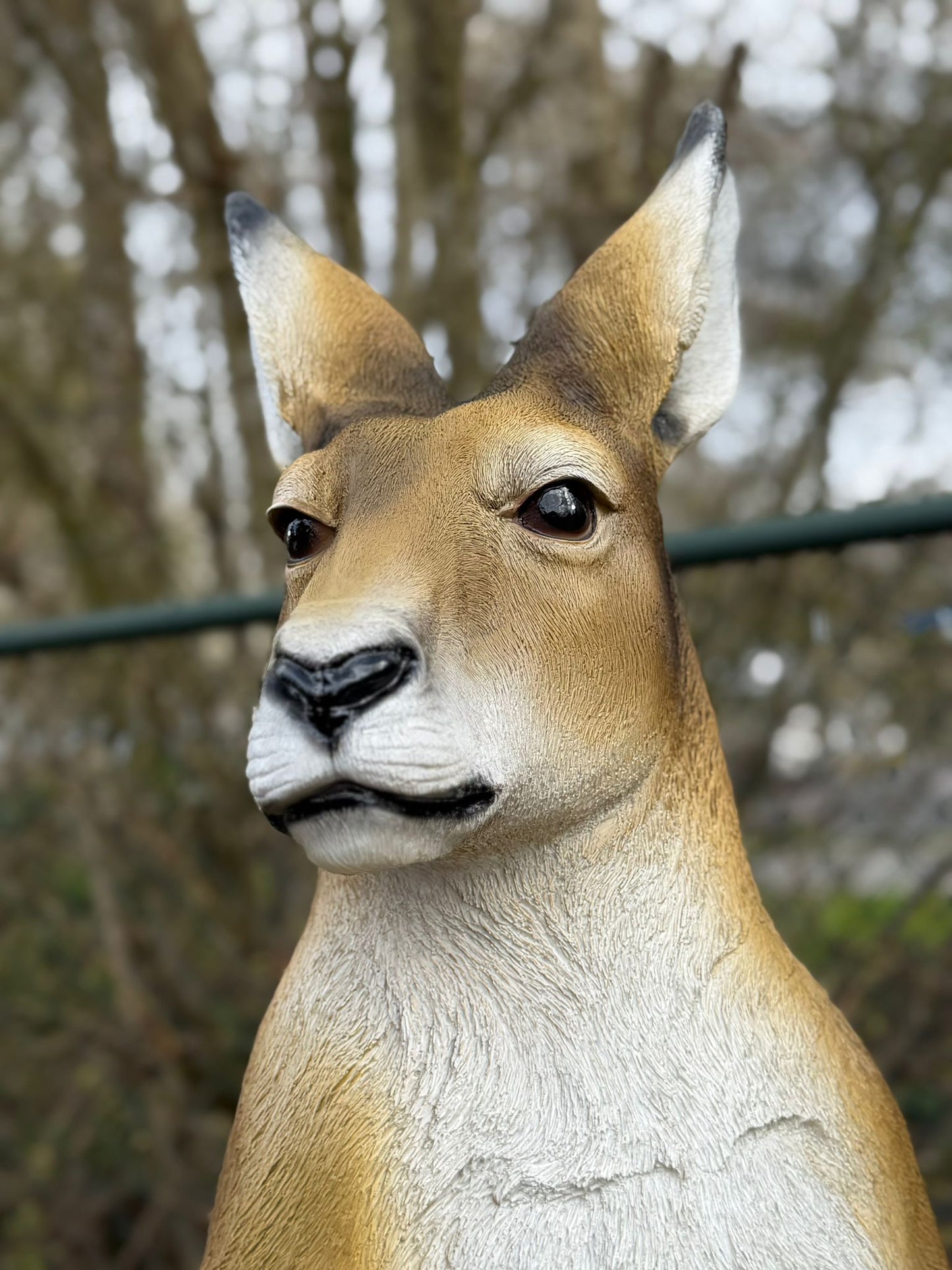 Kangaroe - Kangoeroes - met baby - originele kleur - 155 cm hoog