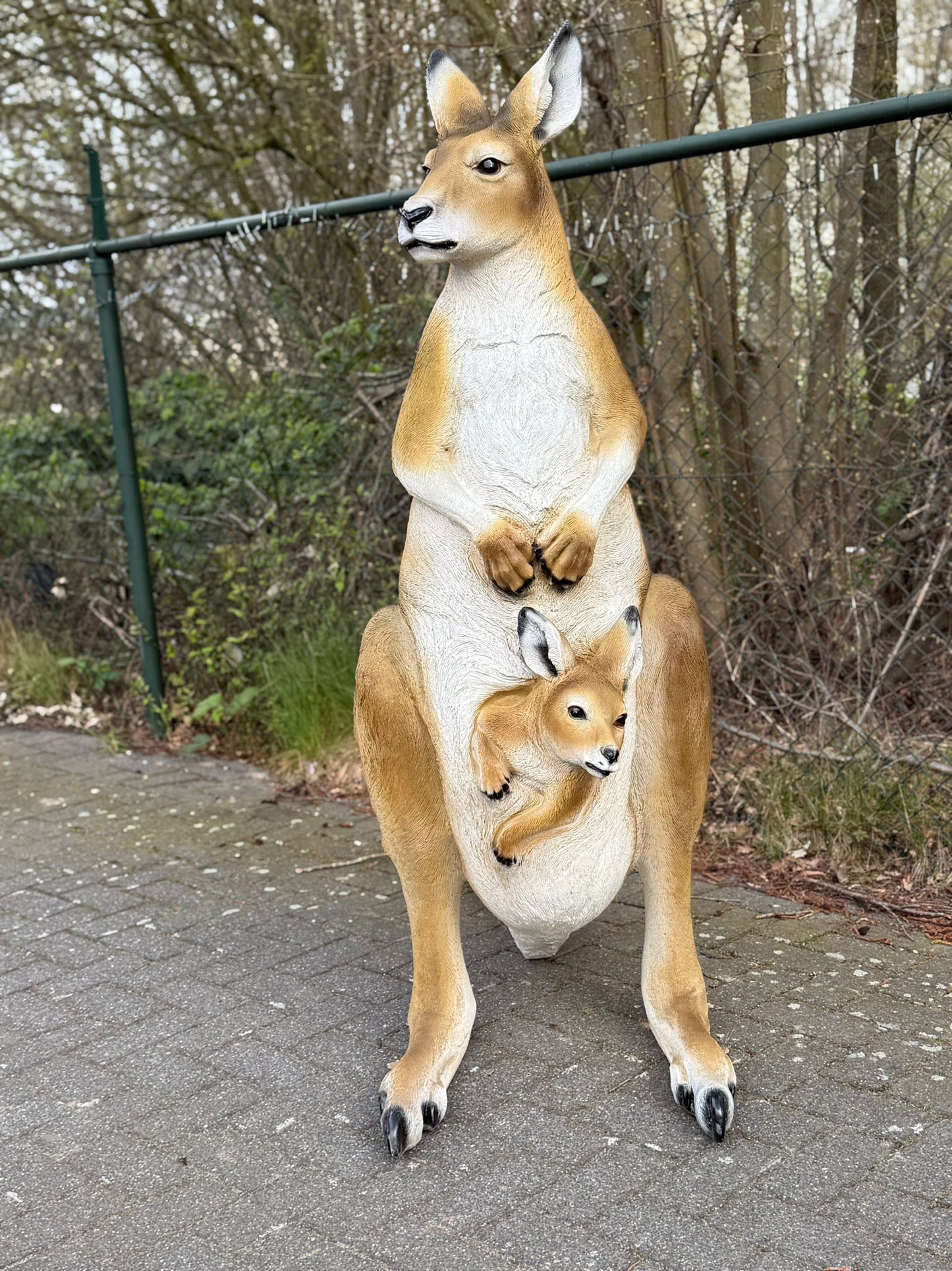 Kangaroe - Kangoeroes - met baby - originele kleur - 155 cm hoog