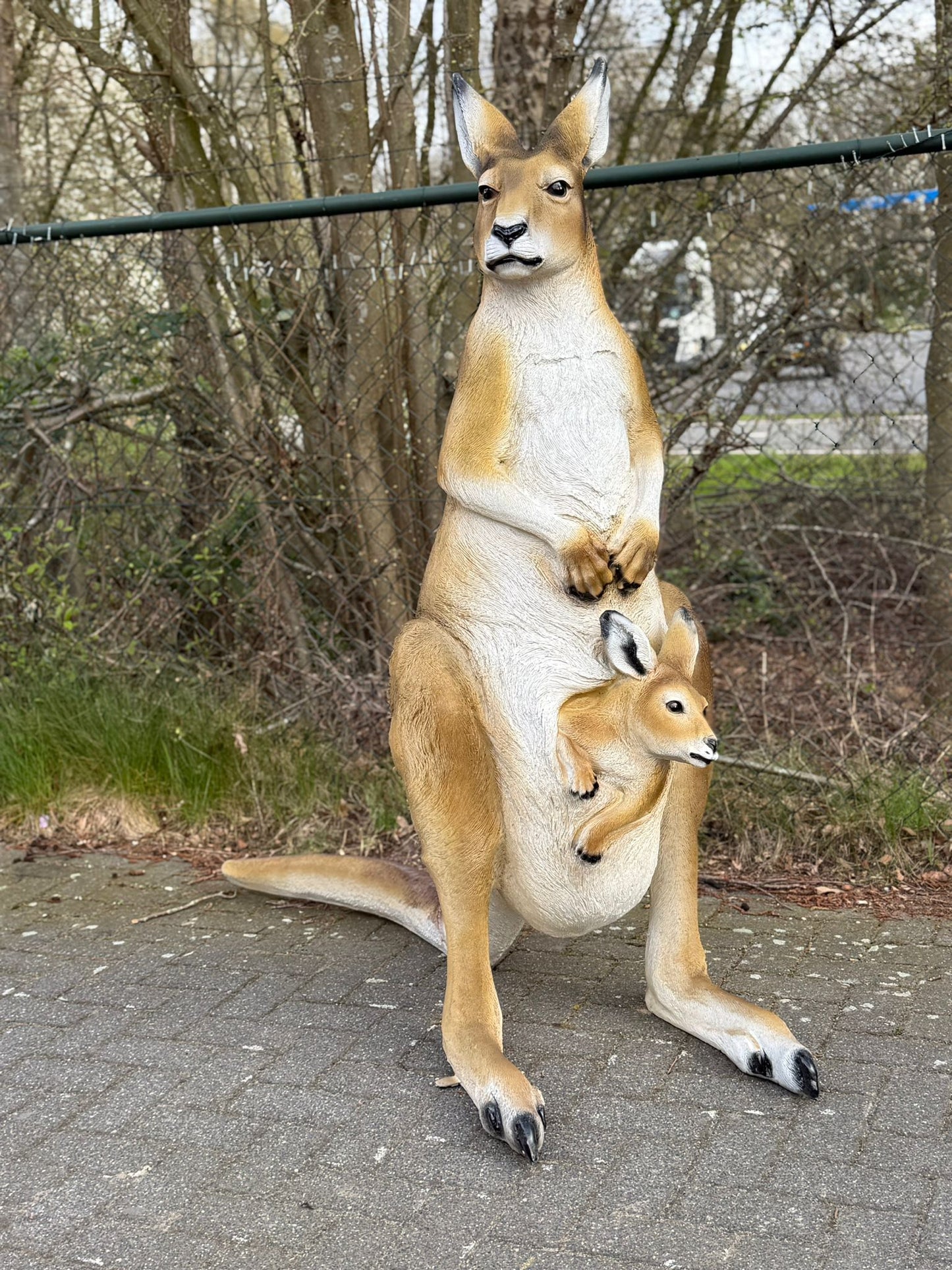 Kangaroe - Kangoeroes - met baby - originele kleur - 155 cm hoog