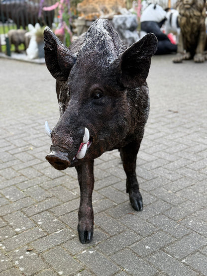 Zwijn - Everzwijn -Staande versie - Mannelijk - XXXL - Bruin