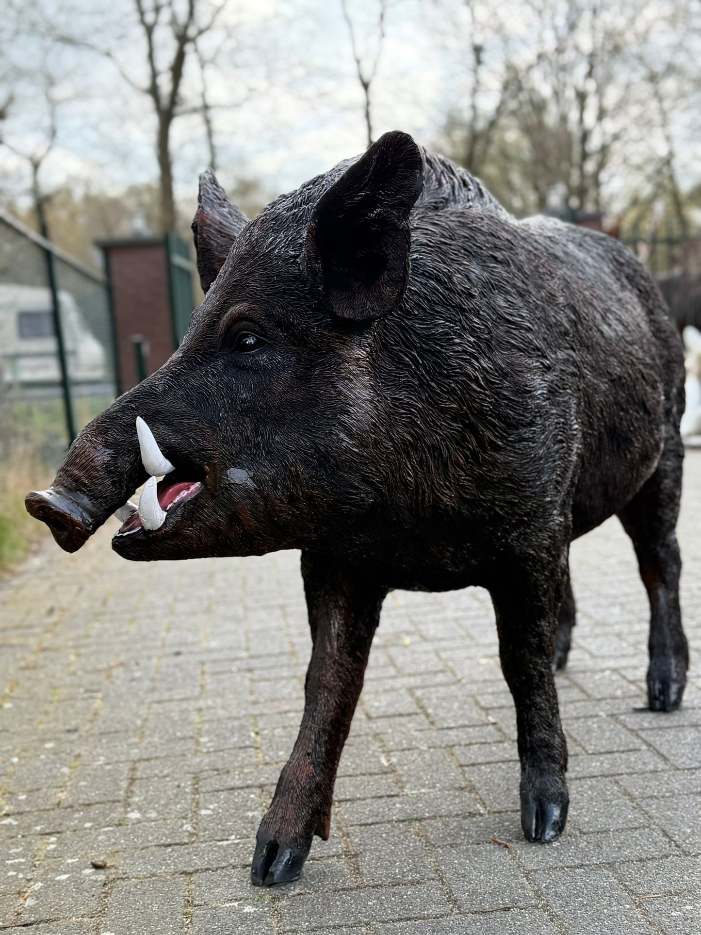 Zwijn - Everzwijn -Staande versie - Mannelijk - XXXL - Bruin