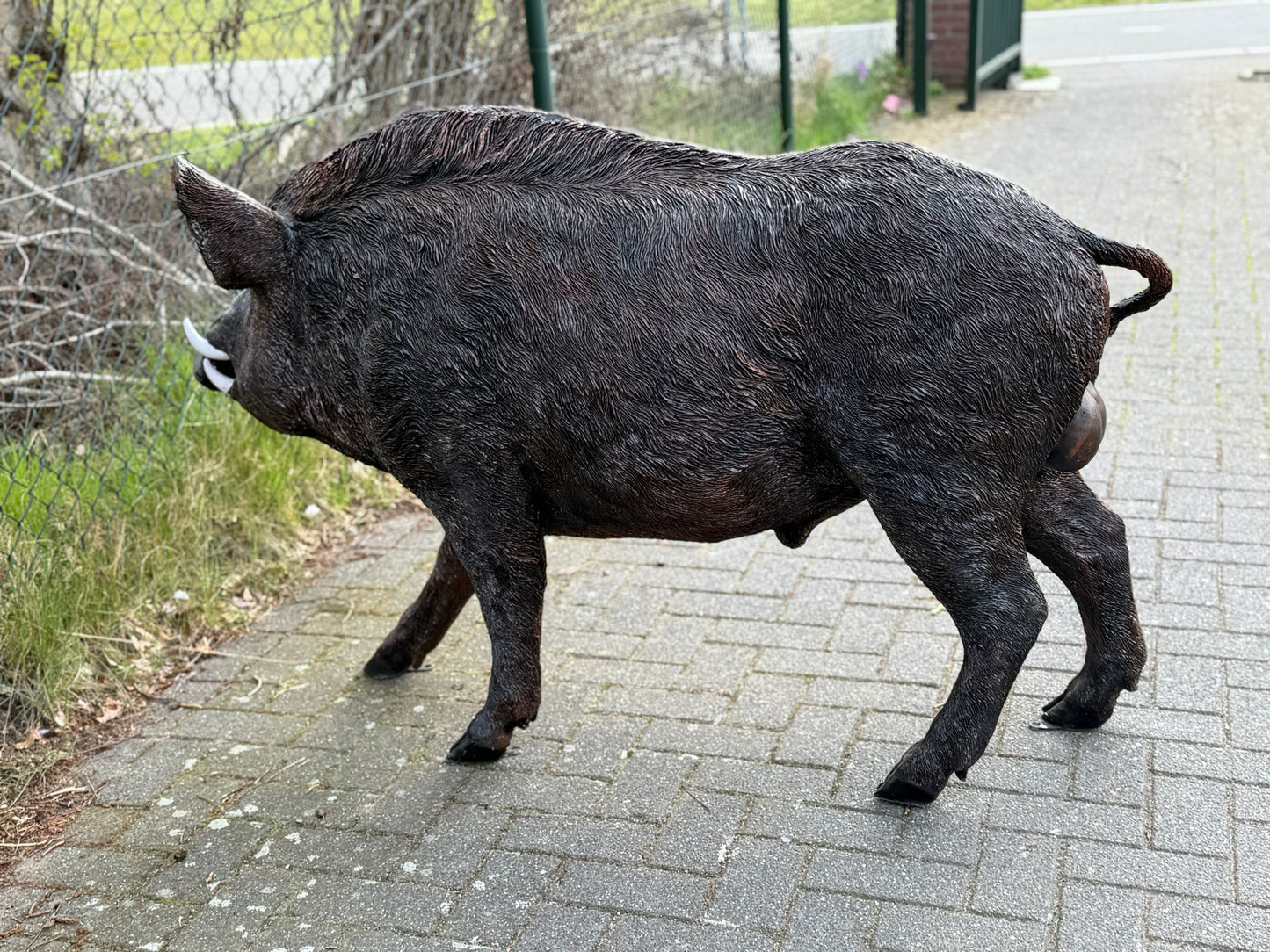 Zwijn - Everzwijn -Staande versie - Mannelijk - XXXL - Bruin
