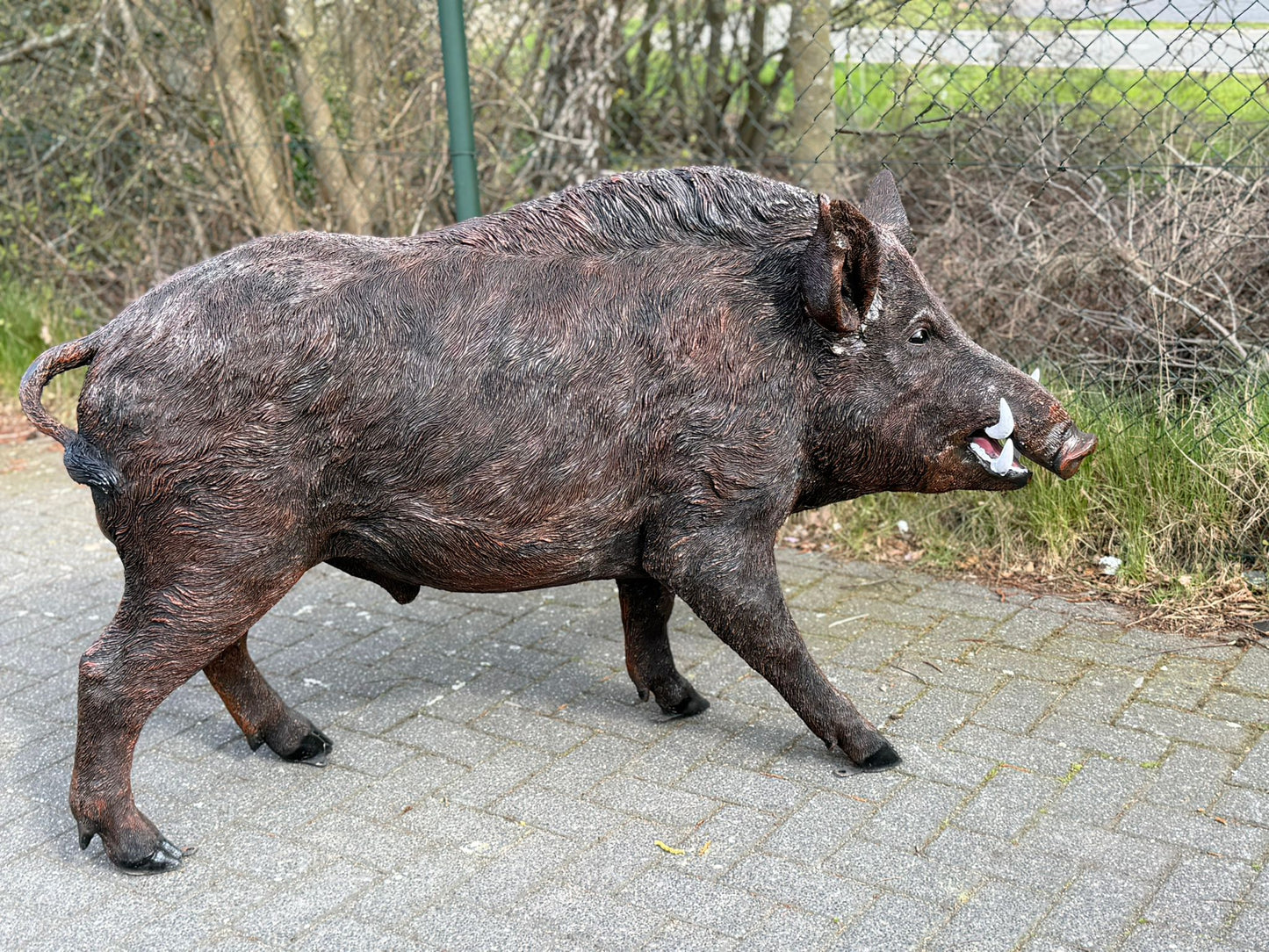 Zwijn - Everzwijn -Staande versie - Mannelijk - XXXL - Bruin