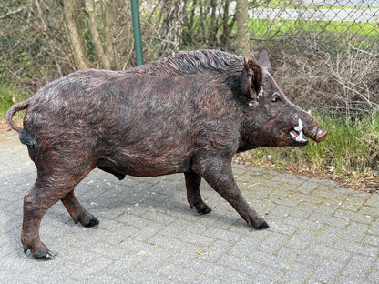 Zwijn - Everzwijn -Staande versie - Mannelijk - XXXL - Bruin