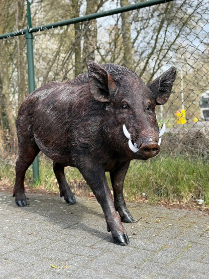 Zwijn - Everzwijn -Staande versie - Mannelijk - XXXL - Bruin