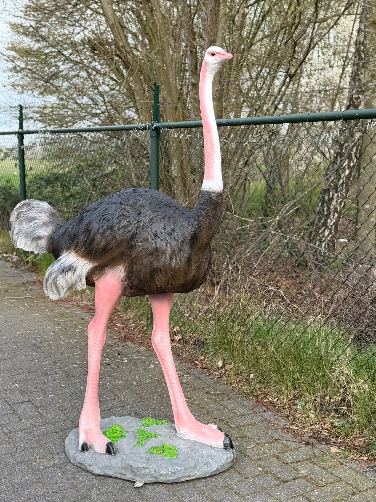 Vogel- Struisvogel - XXL -175 cm hoog - originele kleur