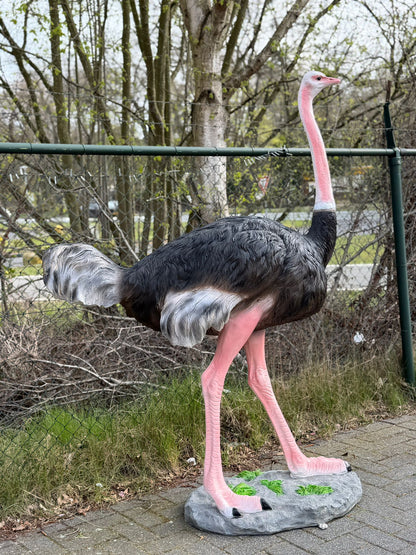 Vogel- Struisvogel - XXL -175 cm hoog - originele kleur