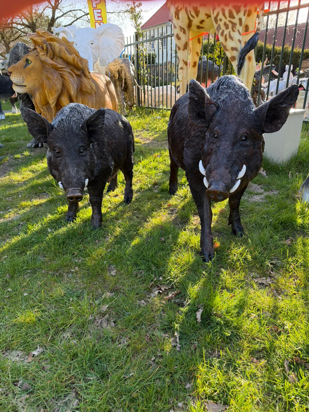 Set everzwijnen -  mannelijk en vrouwelijk - XXXL -  staand - bruin